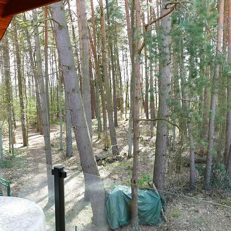 Dom wakacyjny Ceglany Z Jacuzzi, Nad Jeziorem, Przy Lesie